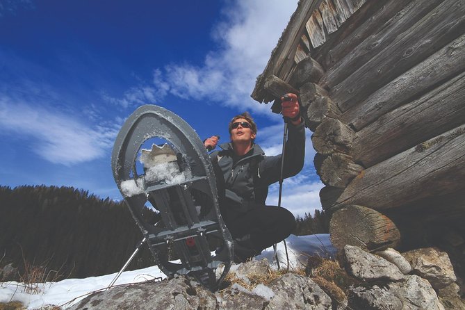 3-Hour Guided Snowshoeing Adventure in the Slovenian Alps - Key Points