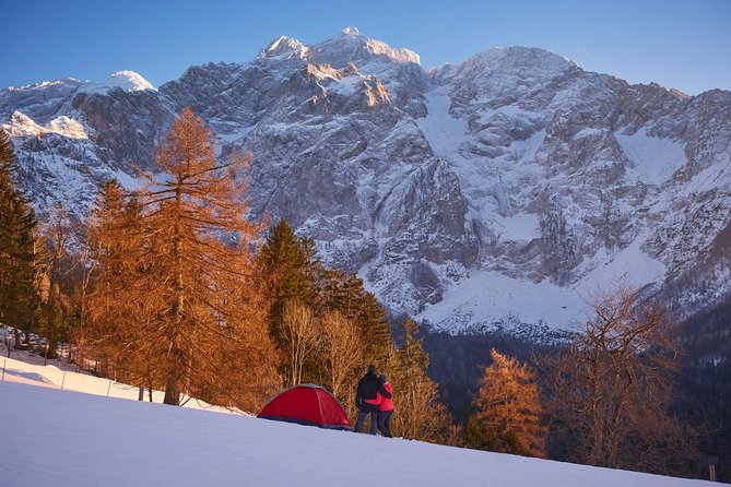 3-Hour Guided Snowshoeing Adventure in the Slovenian Alps - Scenic Highlights and Animal Track Search