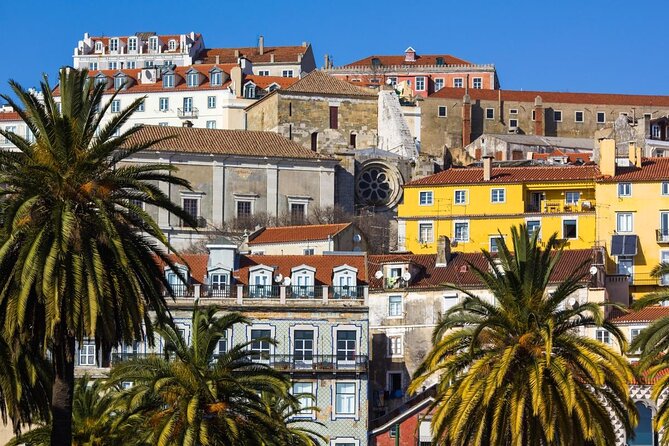 3-Hour Guided Street Art Walking Tour of Lisbon - Discover Lisbon’s Colorful Street Art with Expert Guidance