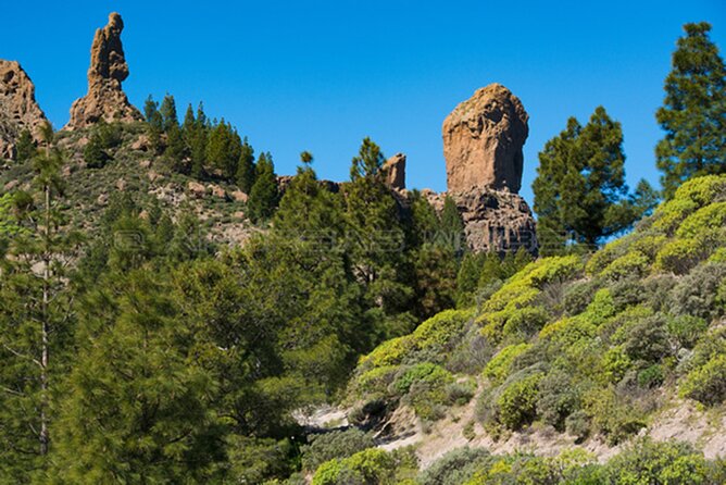 3-Hour Hiking Experience in Roque Nublo - Starting Point at Roque Nublos Parking Lot