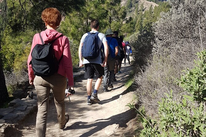 3-Hour Hiking Experience in Roque Nublo - Practical Details and Group Size