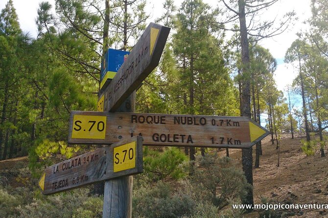 3-Hour Hiking Experience in Roque Nublo - The Experience and Guides: Knowledgeable and Friendly
