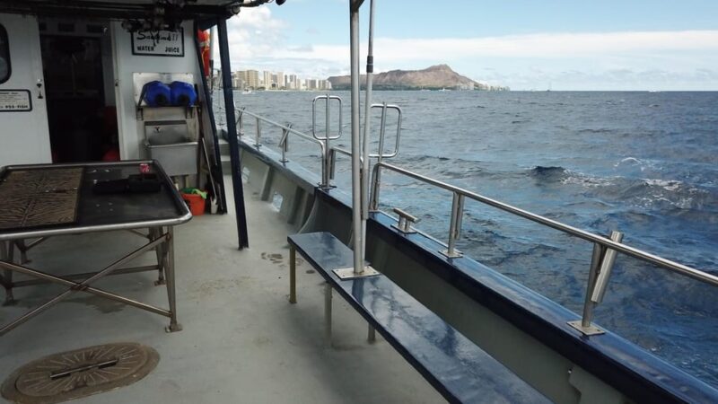 3-Hour Honolulu Bottom Fishing Adventure - Accessibility and Physical Considerations