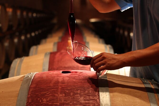 3 Hour Horse Ride to a Castle for Wine Tasting and snack Lunch - From Florence to the Tuscan Countryside