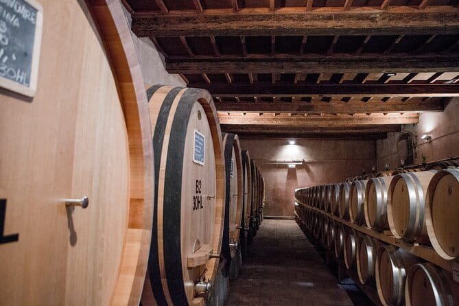 3 Hour Horse Ride to a Castle for Wine Tasting and snack Lunch - Visiting the Castle of Nipozzano or Trebbio