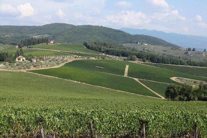 3 Hour Horse Ride to a Castle for Wine Tasting and snack Lunch - Practical Details: Logistics and Comfort