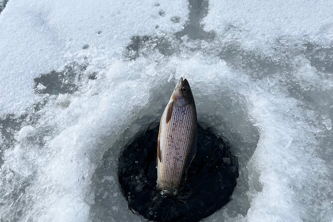 3 Hour Ice Fishing Experience - What to Expect During the 3 Hours