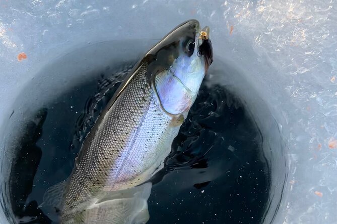 3 Hour Ice Fishing Experience - Seasonality and Fish Activity