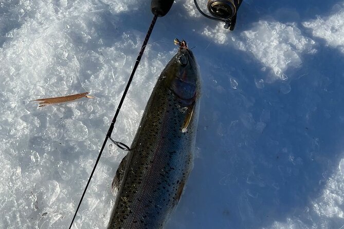 3 Hour Ice Fishing Experience - Food and Beverages: Enhancing the Experience