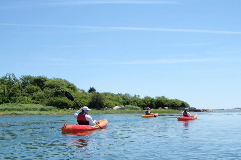 3 Hour Kayak/SUP Rental in Biddeford Pool - What You’ll Discover in Biddeford Pool