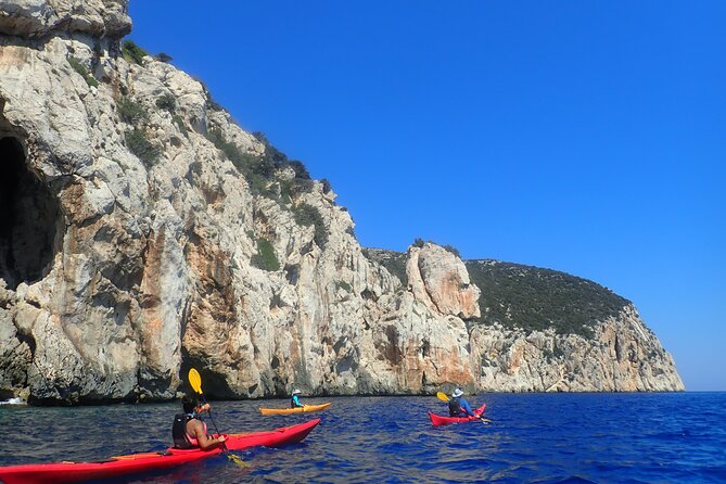 3-Hour Kayak Tour at Capo Figari (Golfo Aranci) - The Exciting Possibility of Paddling with Dolphins