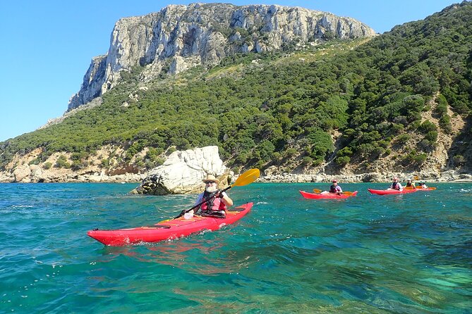 3-Hour Kayak Tour at Capo Figari (Golfo Aranci) - Logistics and Practical Tips for the Kayak Tour