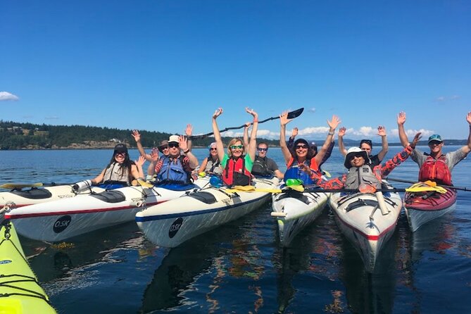 3 Hour Kayaking Tours from Friday Harbor - Experience the San Juan Islands on a 3-Hour Kayaking Adventure from Friday Harbor