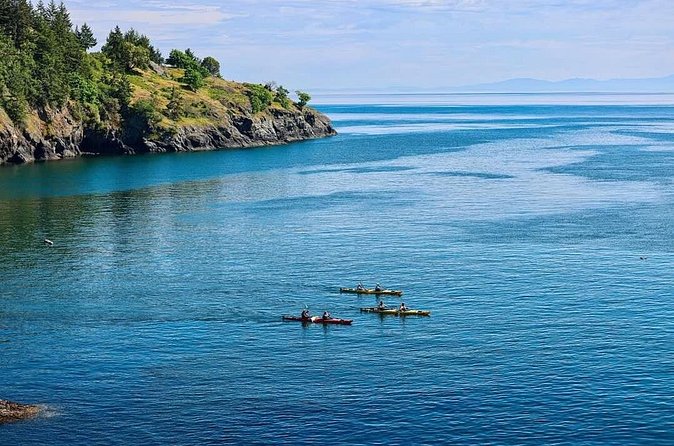 3 Hour Kayaking Tours from Friday Harbor - Convenient Pickup and Drop-Off in Downtown Friday Harbor