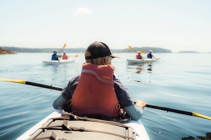 3 Hour Kayaking Tours from Friday Harbor - Flexible Departure Times for Your Scheduling Needs