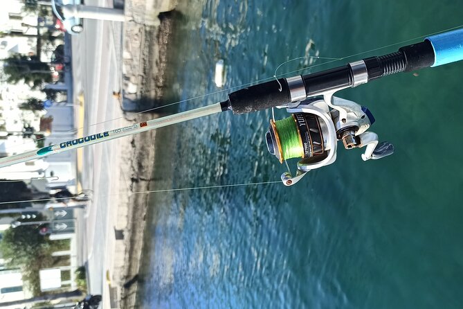 3-Hour Kos Island Fishing Trip with Greek Family - Coastal Views and the Surrounding Landscape