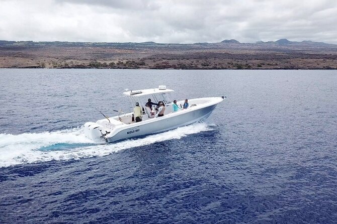 3-Hour Luxury Private Custom Charter - The Experience of Snorkeling and Marine Wildlife