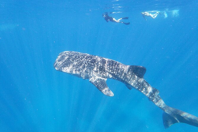 3-Hour Luxury Private Custom Charter - Sunset Cruises and Evening Options