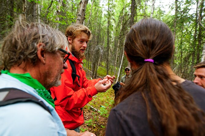 3 Hour Naturalist Walking Tour in Denali National Park - Physical Requirements and Accessibility