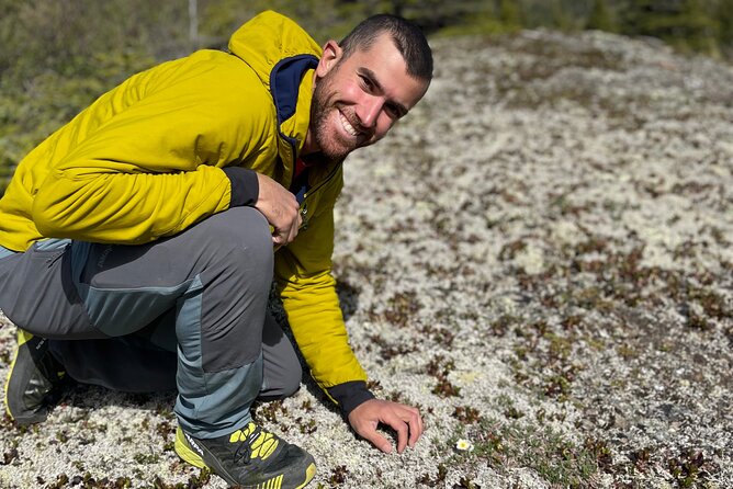 3 Hour Naturalist Walking Tour in Denali National Park - Why This Tour is a Great Choice for Nature Enthusiasts