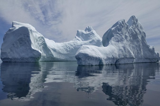 3 Hour Ocean Safari by Zodiac Boat -Whales & Icebergs seasonally - Narration and Education During the Safari