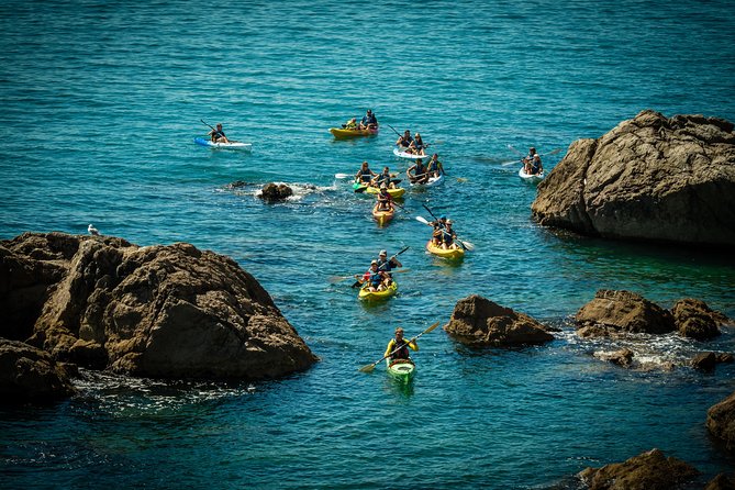3 Hour of Sea Kayak Trip in the Creeks of Sete - Guides and Customer Service Highlights