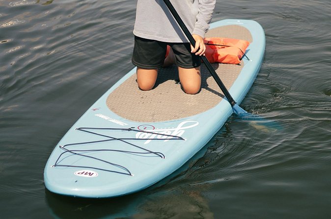 3 Hour Paddle Board Rental - Comparing This Rental to Other Water Adventures