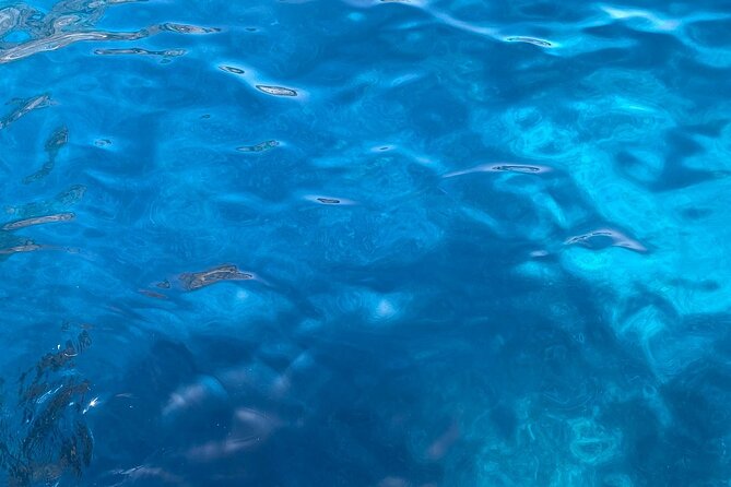 3-hour private boat tour of the island of Capri - The Skipper and Crew: Passionate, Knowledgeable, and Friendly