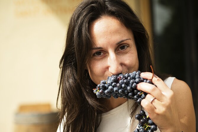 3-Hour Private Food and Wine Experience in Montalcino - Explore the Private Food and Wine Tour in Montalcino for an Authentic Taste of Tuscany