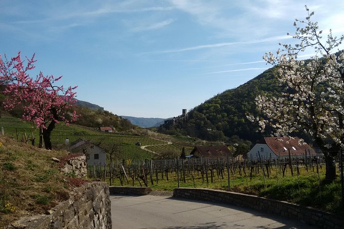 3-Hour Private Hiking Tour to historic places around Spitz in Wachau Valley - A Walk through Spitz’s Historic Landscape