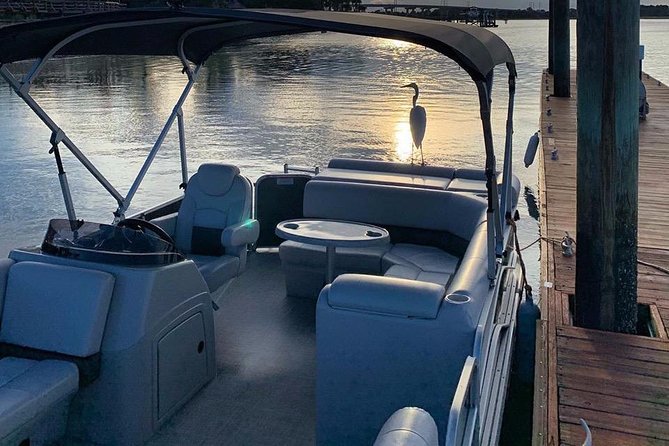 3-Hour Private Hilton Head Pontoon Boat Rental - Dolphin Watching and Shell Collecting from the Boat