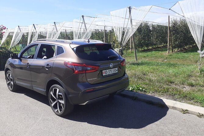 3 Hour Private Tour Countryside Vineyards with Local Wine Tasting - Key Points