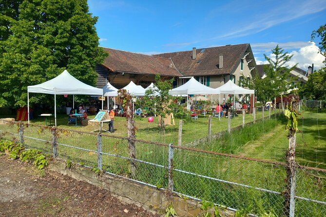 3 Hour Private Tour Countryside Vineyards with Local Wine Tasting - Free Stop at Mies for Lake Geneva and Mountain Views