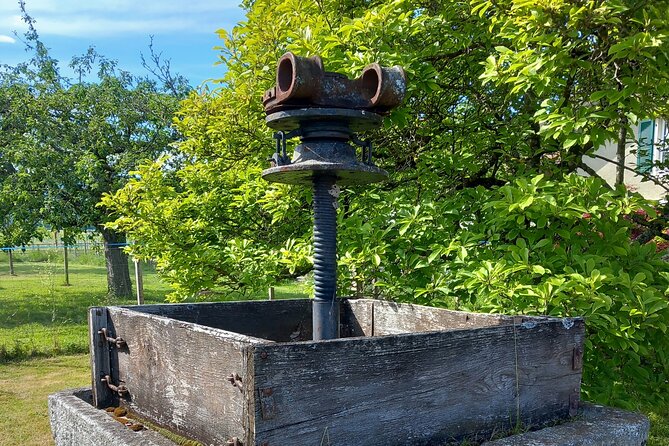 3 Hour Private Tour Countryside Vineyards with Local Wine Tasting - Snacks, Water, and Personalized Service Included