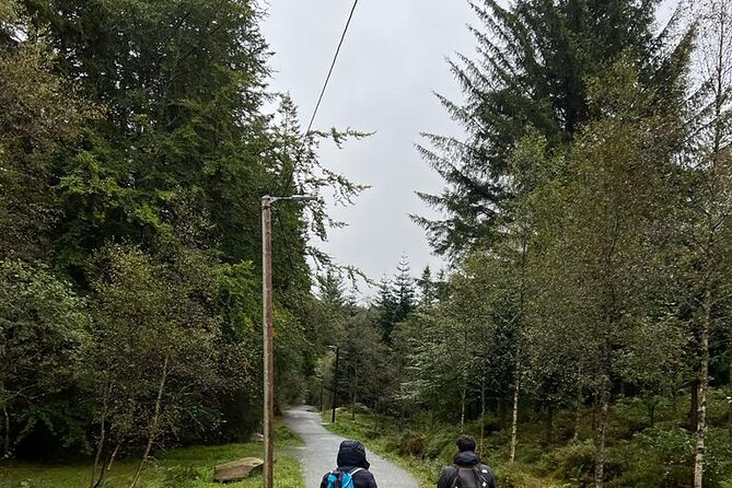 3-Hour Private Tour Hiked through the Bergen Mountains - The Itinerary: From the Bergen City to Mountain Hidden Corners