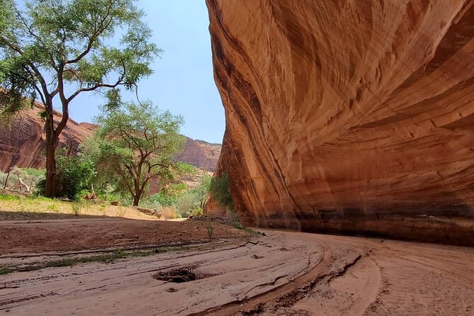 3 hour Private Tour in Chinle - Major Stops and Highlights of the Tour Route