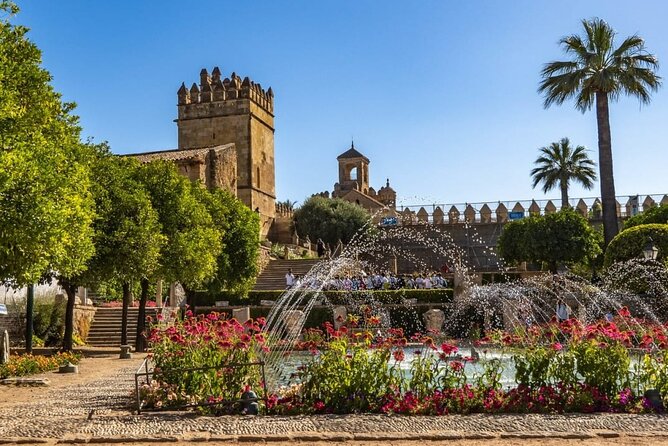 3-Hour Private Tour of Cordoba Tickets included Week Days - The Tours Main Starting Point and Schedule