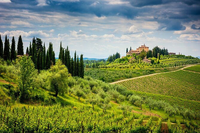 3-Hour Private Wine Tasting Tour in Florence with a Wine Expert - Tasting the Finest Wines from Tuscany