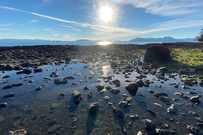 3-Hour Rainforest, Beach & Wildlife Walk - Transport, Group Size, and Tour Logistics