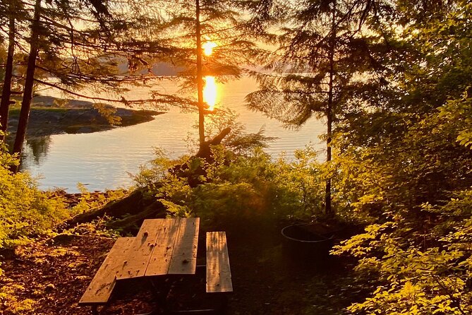 3-Hour Rainforest, Beach & Wildlife Walk - Flexibility and Tour Options