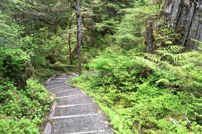 3 Hour Rainforest Walk & Totem Park Wild Wolf Tours - Meeting at Ketchikan Cruise Port and First Stop at Potlatch Totem Park