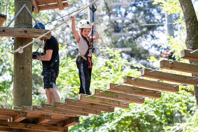 3-Hour Ropes Course & Zip Line Adventure - The Location and Setting of Trinity Forest Adventure Park