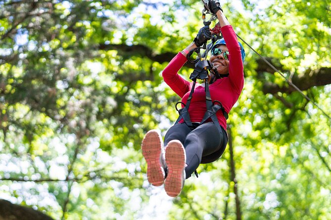 3-Hour Ropes Course & Zip Line Adventure - Navigating the Course Options and Difficulty Levels