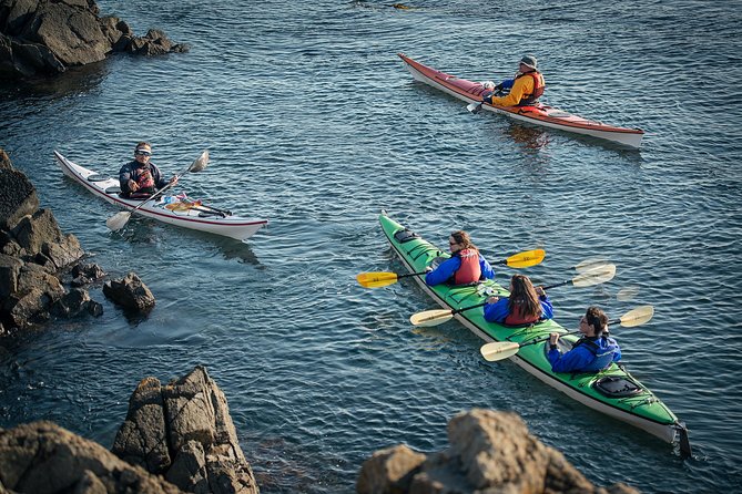 3-Hour Sea Kayak Tour in the San Juan Islands - Explore Washington’s San Juan Islands via 3-Hour Sea Kayak Tour