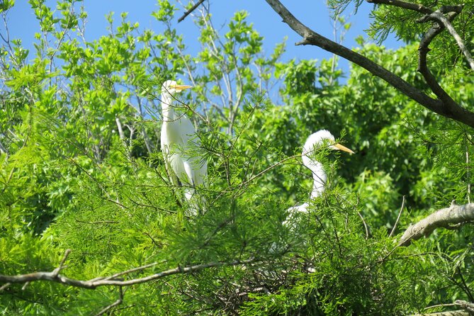 3 Hour Small Group Lake Norris Kayak Activity - Final Thoughts on the Lake Norris Kayak Tour