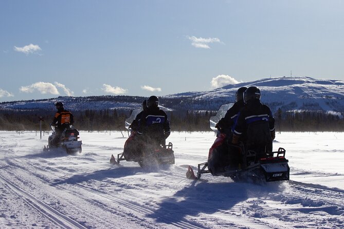 3 Hour Snowmobile Safari Around Levi with Coffee Break - Insights from Positive Feedback