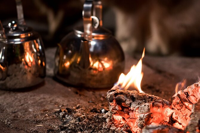 3-Hour Snowmobile Safari to Search Northern Lights in Levi - The Chance to Witness the Northern Lights