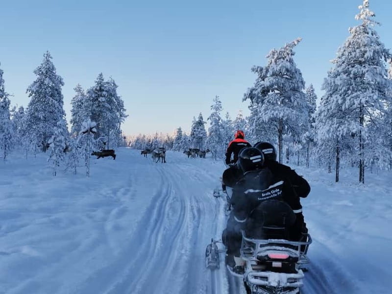 3-hour snowmobiling adventure in Levi - What the Tour Looks Like in Levi