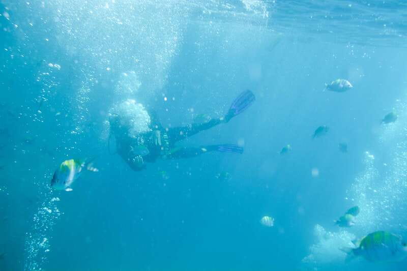 3-Hour Stand up Paddle and Snorkel at Los Cabos - Scenic Views and Relaxation During the Tour