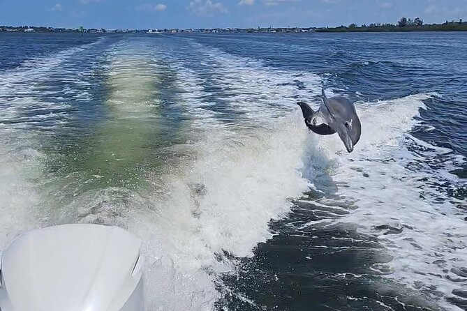 3-Hour Tikibar Private Hopping in Sarasota - Key Points